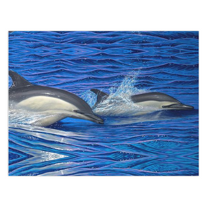 "Dolphin Blue" Folded Cards