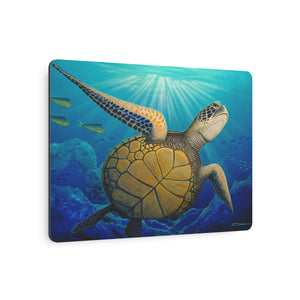 "Freedom" Metal Print