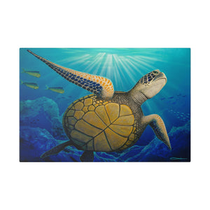 "Freedom" Stretched Canvas Print