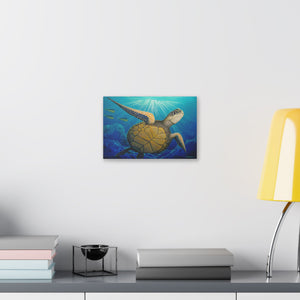 "Freedom" Stretched Canvas Print