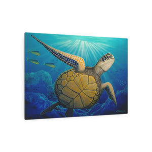 "Freedom" Metal Print