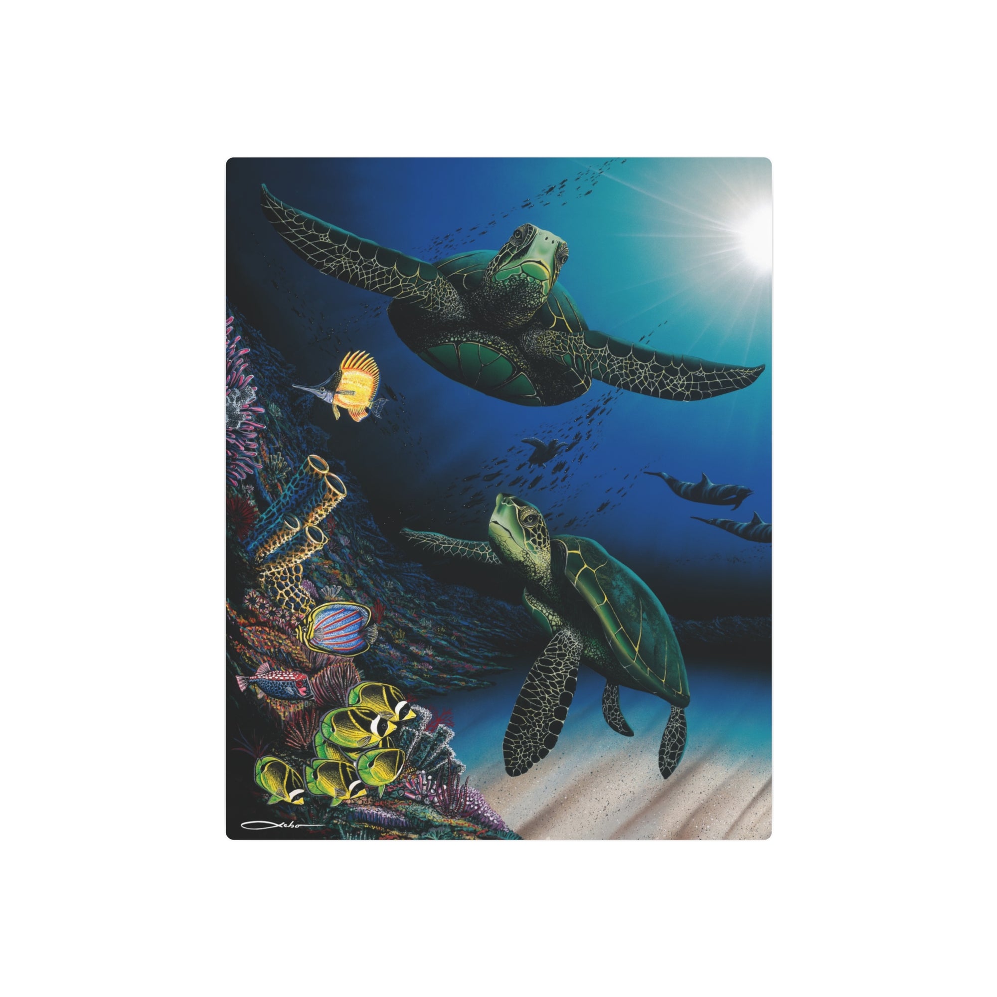 "Honu Reef" Metal Print