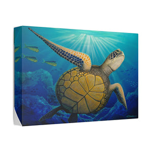 "Freedom" Stretched Canvas Print