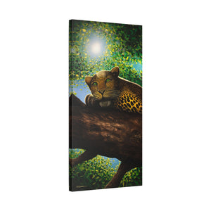 "Fluffy" Stretched Canvas Print