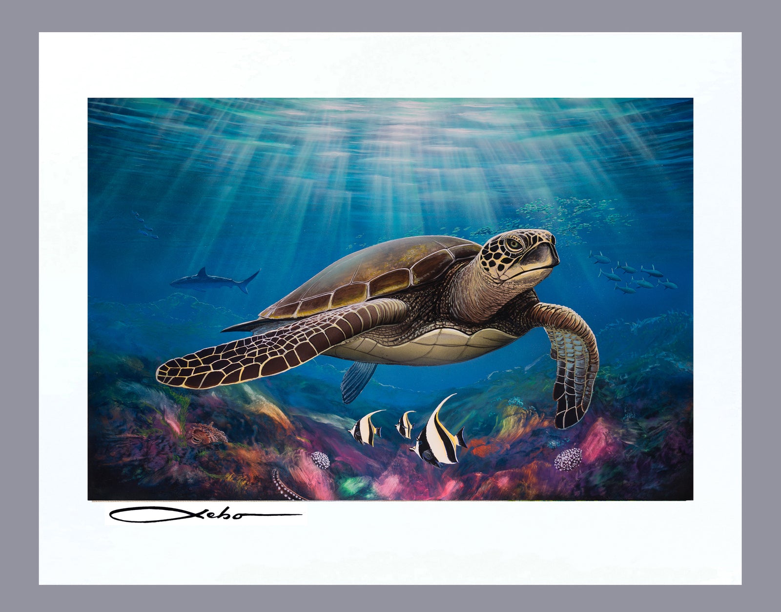 “Honu Cove”  11" x 14" Matted Print