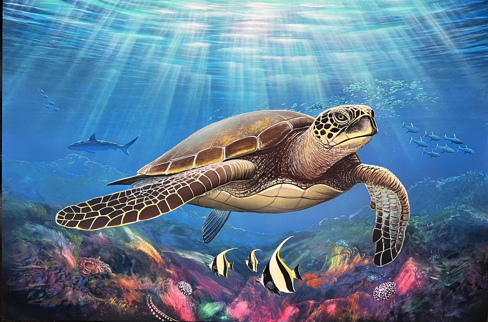 “ Honu Cove" Limited Edition Fine Art Giclee