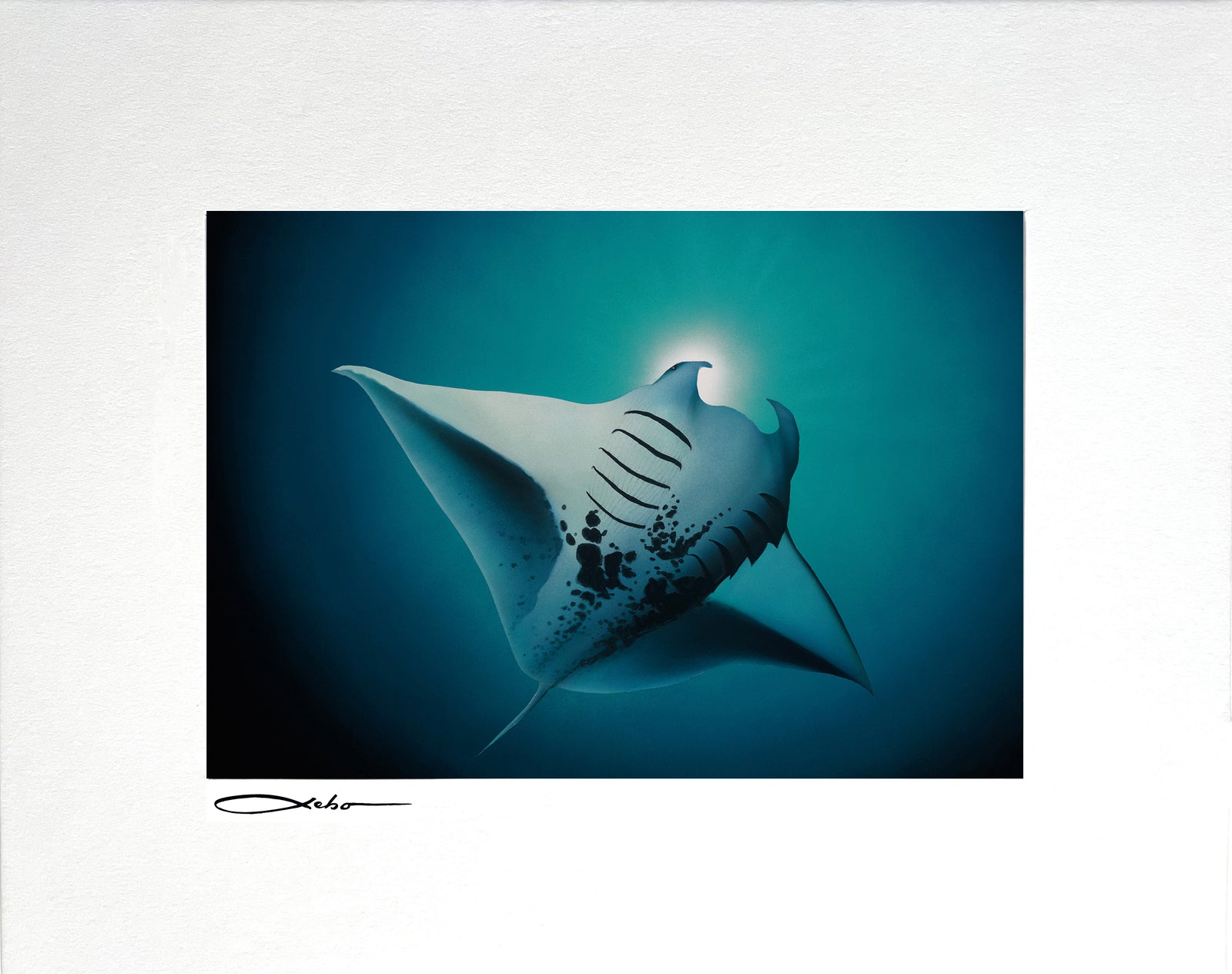 "Free Spirit" 8" x 10" Matted Print