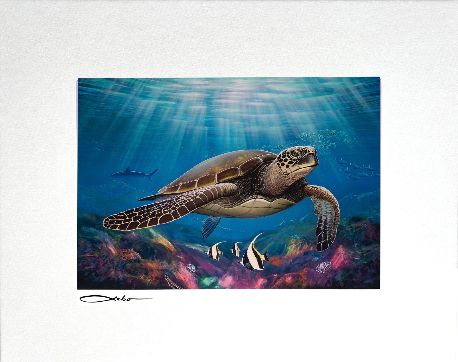 "Honu Cove" 8" x 10" Matted Print