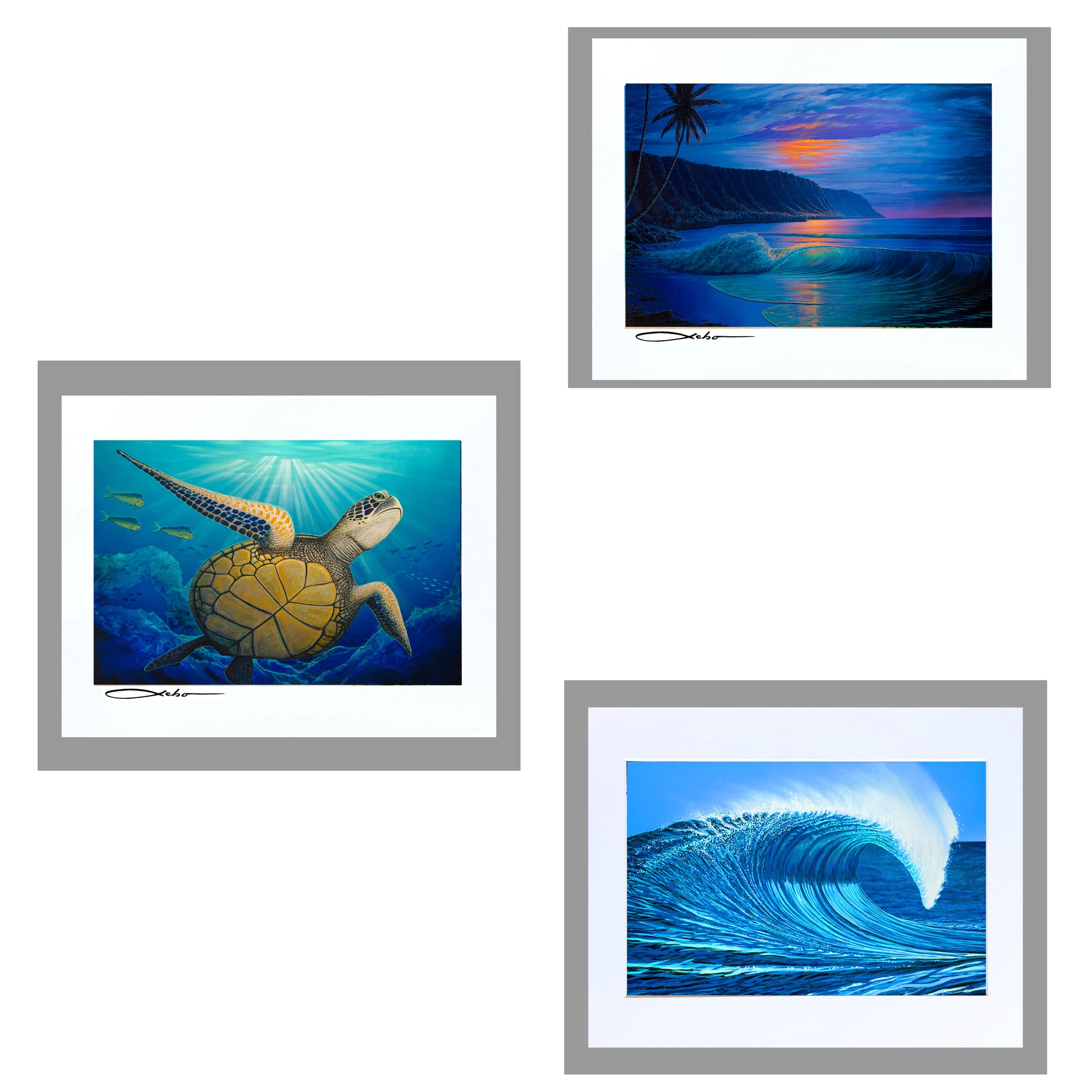 North Shore Collection 11" x 14" Matted Prints (Set of 3)