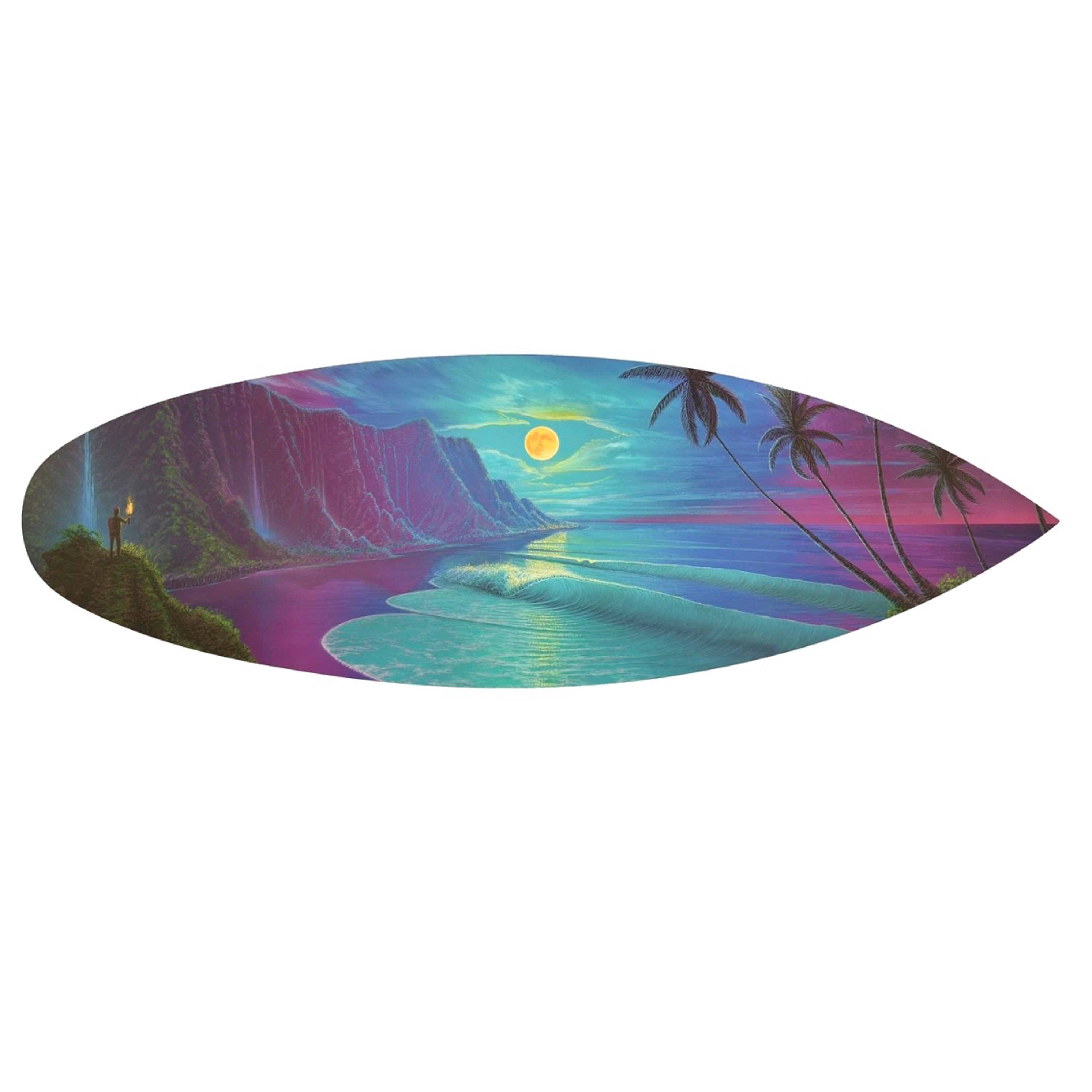 サーフィン・ボディボード IMAGINATION SURFBOARDS IMAGINATION SURFBOARDS
