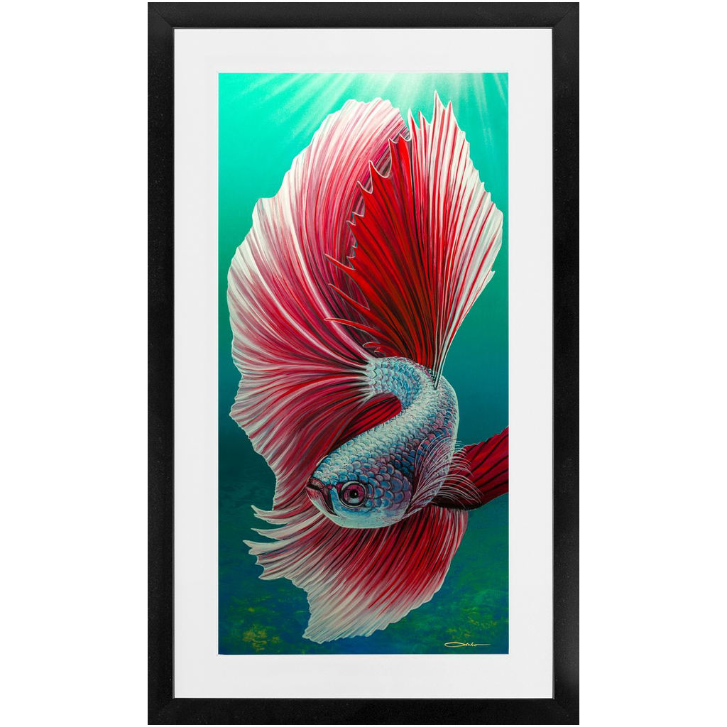 "Silent Beauty" Framed Prints