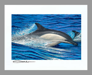 "Dolphin Blue" 11" x 14" Matted Print