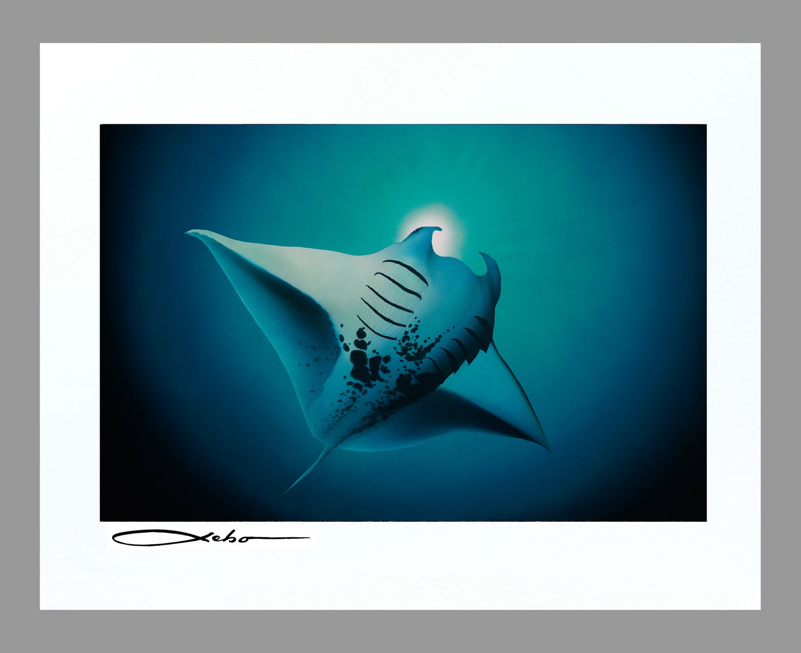 "Free Spirit" 11" x 14" Matted Print