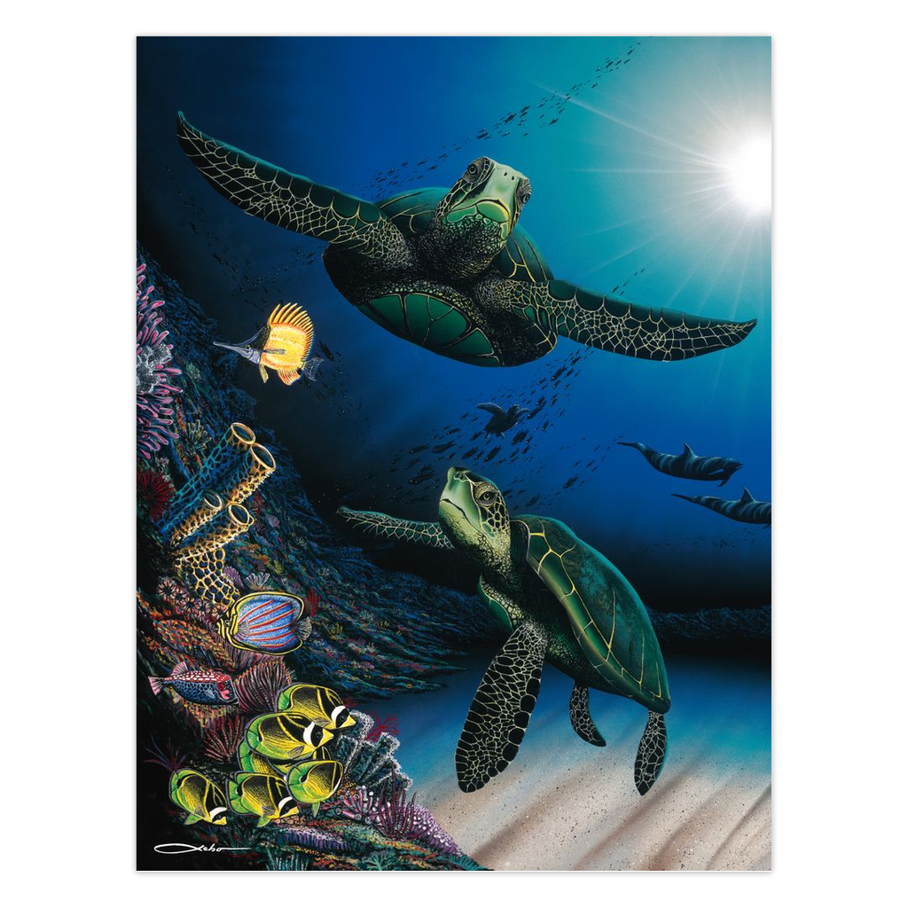 "Honu Reef" Folded Cards