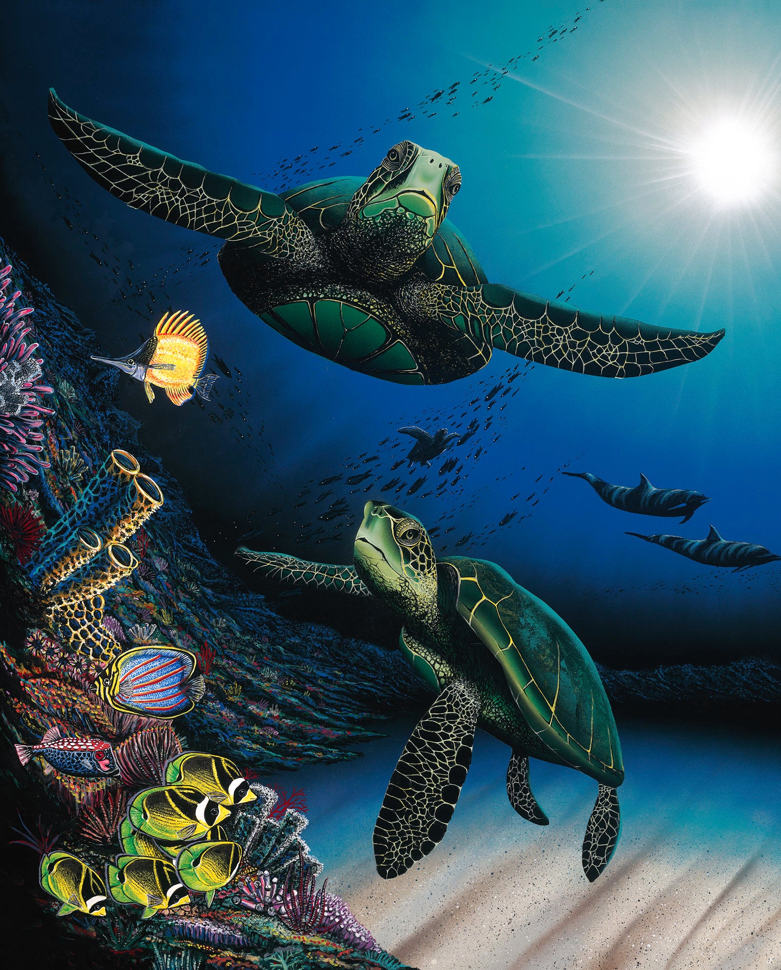 All 10 Posters set only $249