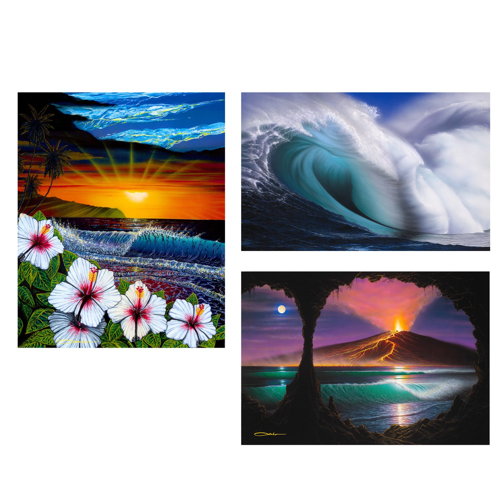 Nature Print Collection (Set of 3)