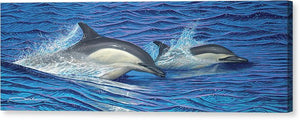 "Dolphin Blue" Limited Edition Fine Art Giclee - SeboArt.com