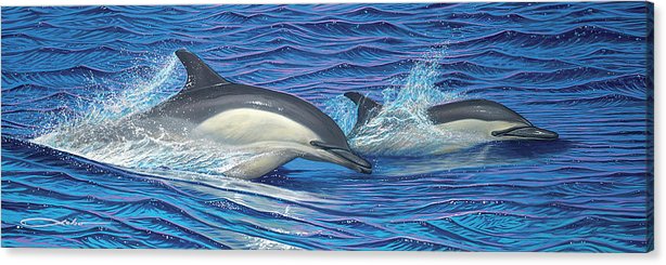 "Dolphin Blue" Limited Edition Fine Art Giclee - SeboArt.com