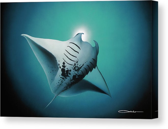 "Free Spirit" Limited Edition Fine Art Giclee - SeboArt.com